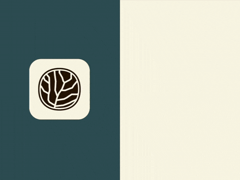 BRAND DESIGN + PACKAGING DESIGN TERRA-NOVA – Agência BUD
